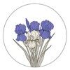 lonely_iris
